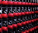 Adegas em São Luís