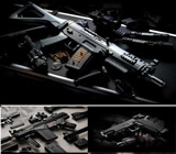 Armas e Munição em São Luís