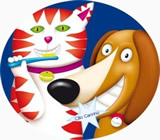 Banho e Tosa de Animais em São Luís