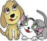 Criadores de Animais em São Luís