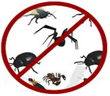 Dedetizadoras em São Luís