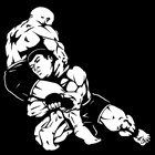 Jiu Jitsu em São Luís