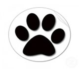 Pet Shops em São Luís