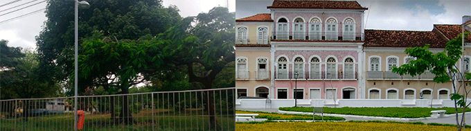 Museu das Árvores São Luis
