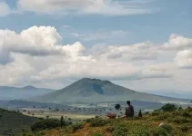 projetos Câmara de São Luís