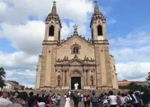 modelo de Passe Livre