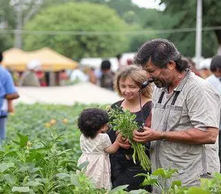 feira da agricultura familiar