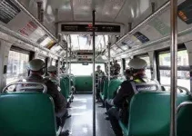 gratuidade no transporte público para guardas municipais