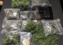 meia tonelada de maconha