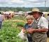 Feira Nordestina da Agricultura Familiar