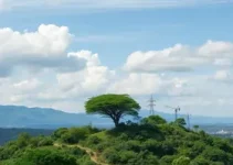 ICMBio São Luís MA processo seletivo agente ambiental