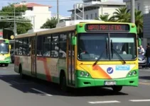 volta dos ônibus