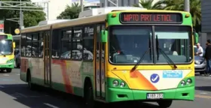 volta dos ônibus