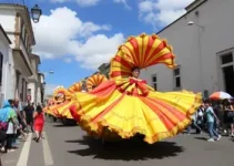 Câmara de São Luís decreta ponto facultativo durante o Carnaval