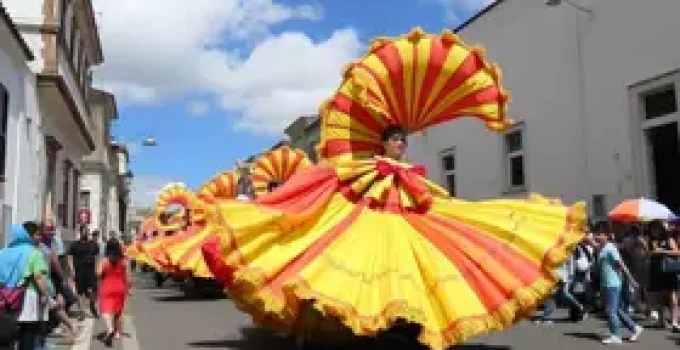 Câmara de São Luís decreta ponto facultativo durante o Carnaval
