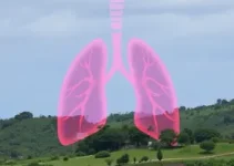 câncer de pulmão em São Luís