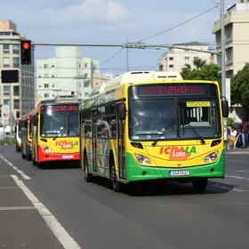 ônibus parados em São Luís