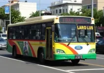 ônibus do sistema urbano