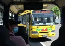 rodoviários São Luís