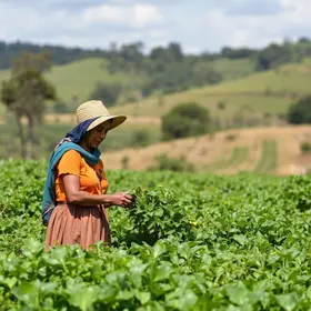 Feira da Agricultura Familiar em São Luís