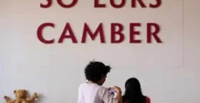 desafios da maternidade real