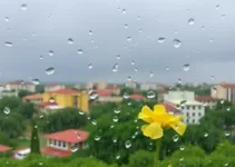 chuvas em São Luís