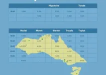 Migração para o Portal Nacional de NFS-e
