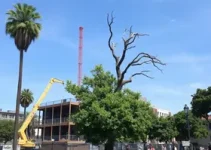 paralisação de obra sem licença