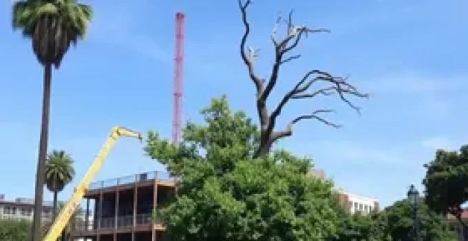 paralisação de obra sem licença