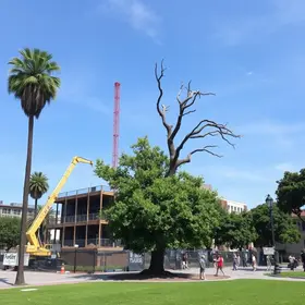 paralisação de obra sem licença
