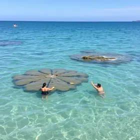 pontos impróprios para banho