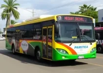 Transporte Fora do Domicílio