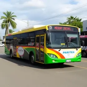 Transporte Fora do Domicílio