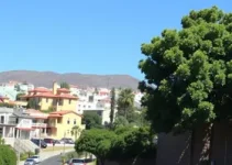 Câmara de São Luís