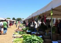 Feira Vegana em São Luís