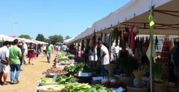Feira Vegana em São Luís