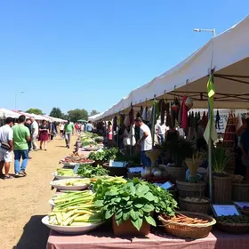 Feira Vegana em São Luís