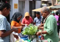 INSS ação social feirantes São Luís