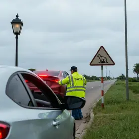 motorista sai ilesa