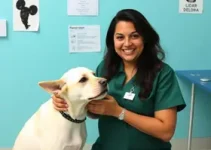 Hospital Veterinário de São Luís