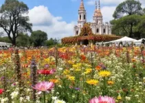 Festival Flores de Holambra