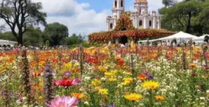 Festival Flores de Holambra