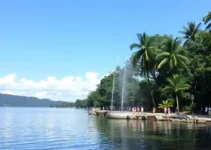 Festival Sesc 80 anos