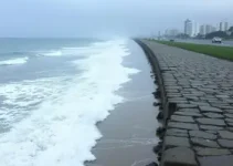 maré alta