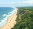Declaração de Licenciamento Ambiental