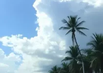 São Luís temperatura